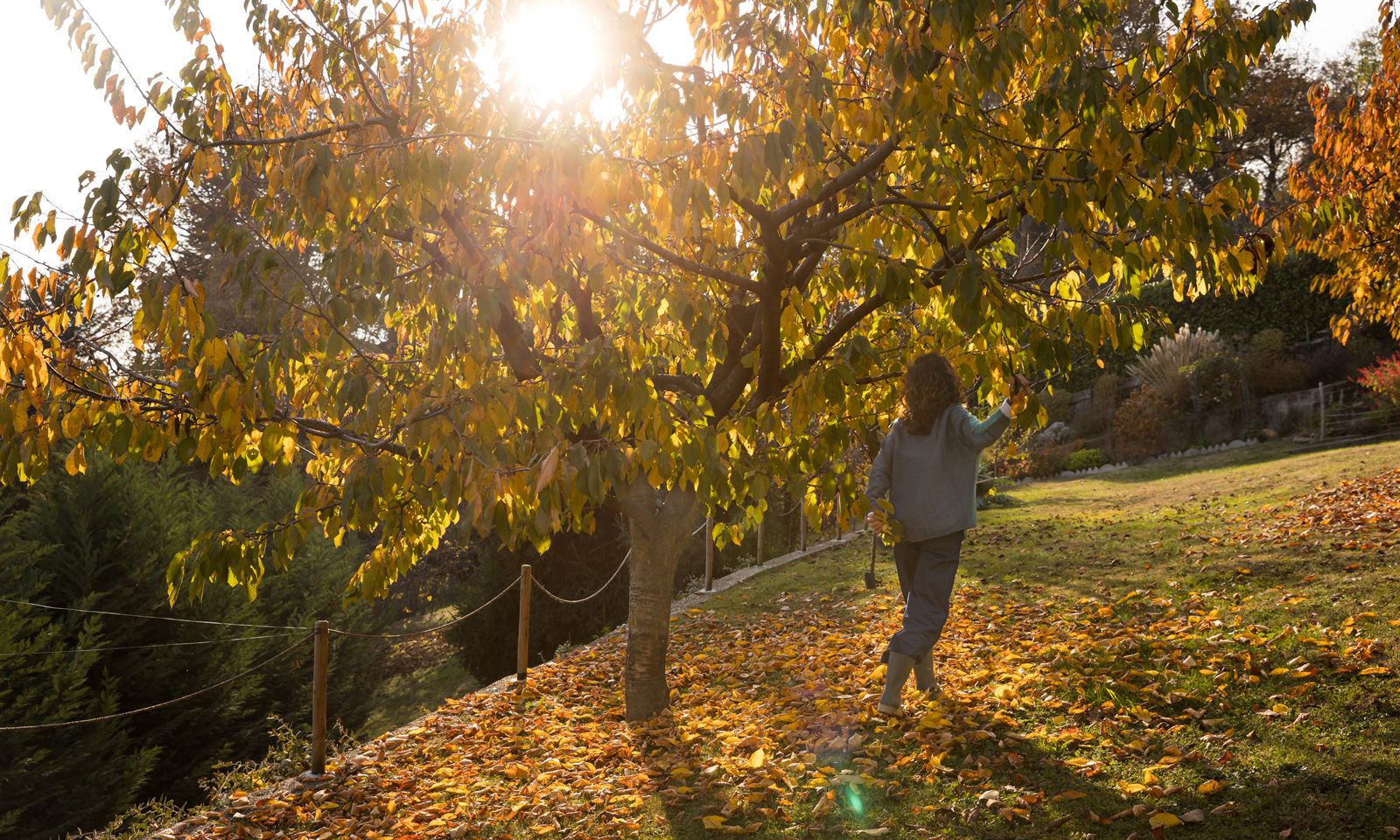 Antonella Beggiato - Coaching per famiglie e adolescenti