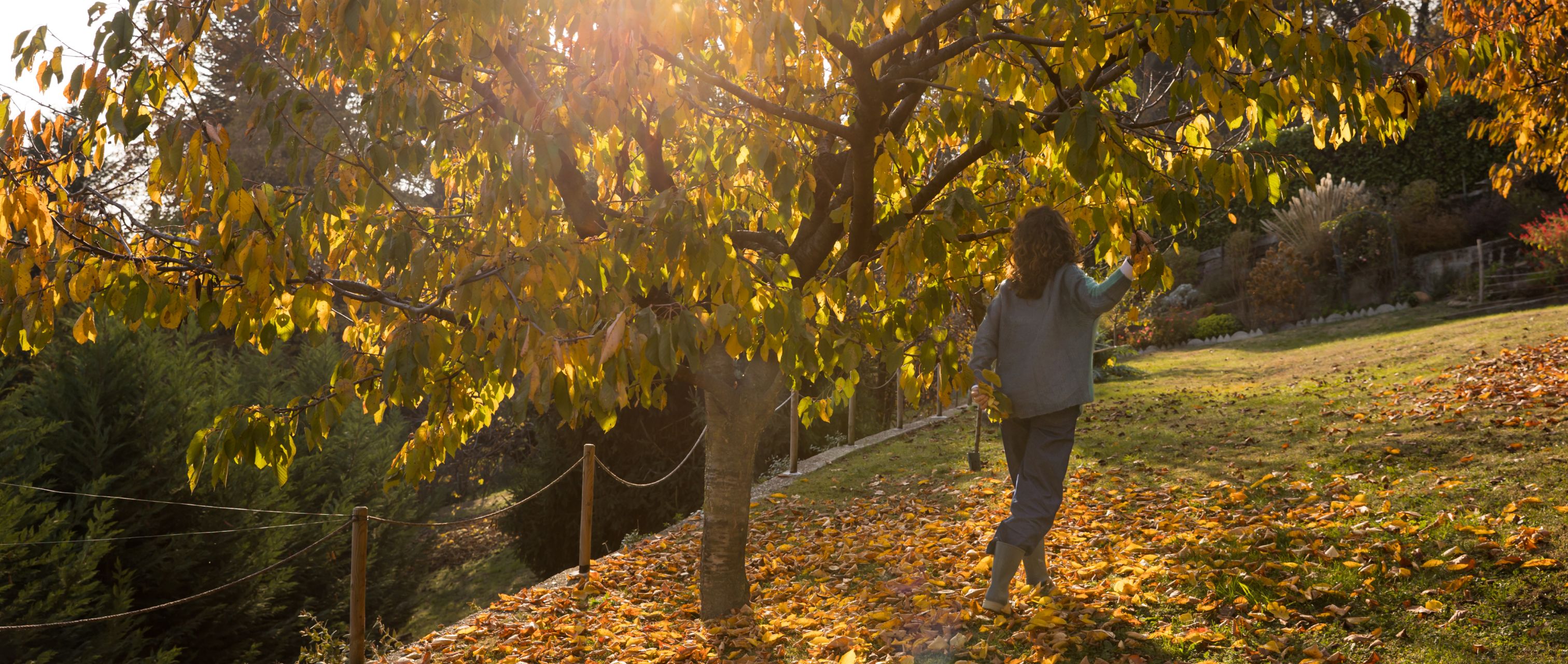 Antonella Beggiato - Coaching per famiglie e adolescenti