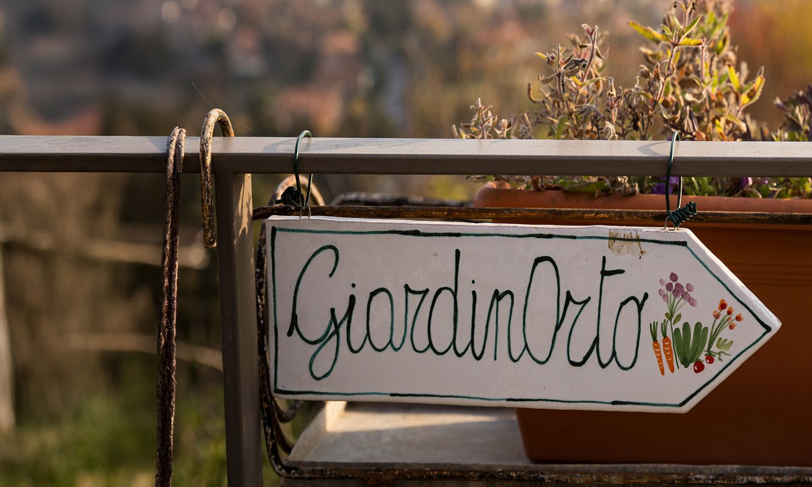 Antonella Beggiato - Coaching per famiglie e adolescenti